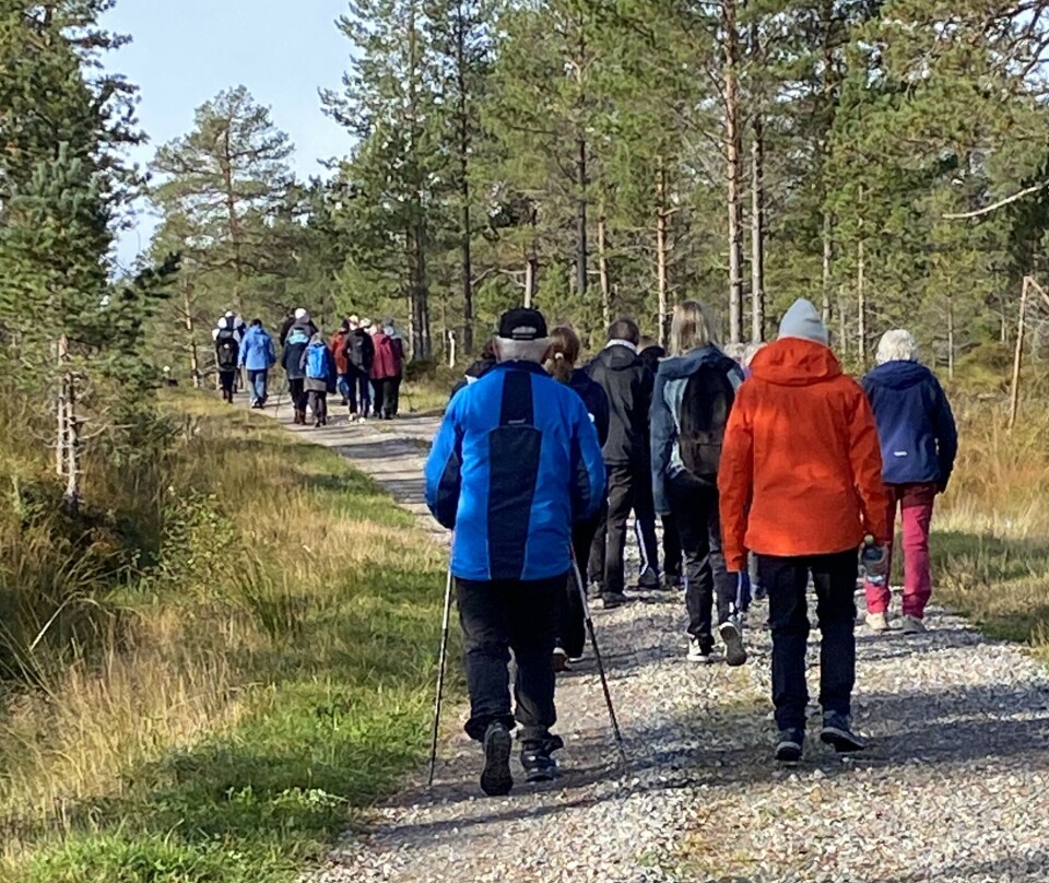 Sesongens siste stavgangtur Ei stor gruppen turkledde folk som går på en skogsvei. Høstvær og blå himmel.