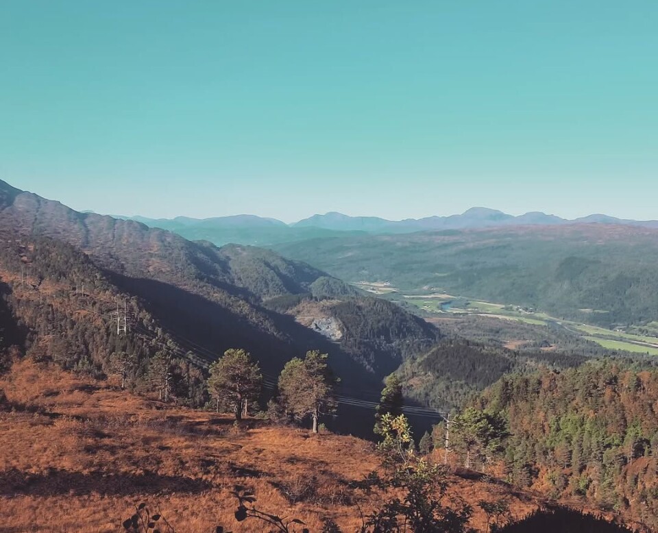 Takk for ein nydeleg dag i fjellet!! Fjell i brune høstfarger, grønne furutrær i lia, og en blå skyfri himmel og fjell langt i bakgrunnen