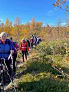 Ei gruppe med turkledde folk som går på rekke på en skogssti. Høstfarger, sol og skyfri himmel.