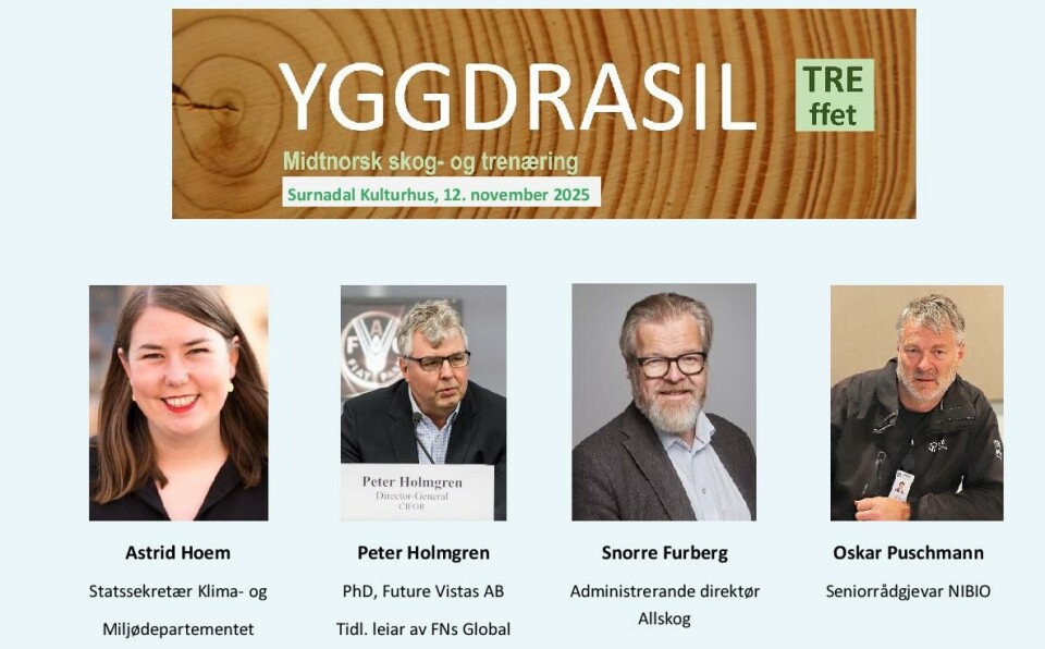 Skogkonferansen YGGDRASIL 2025, Surnadal
