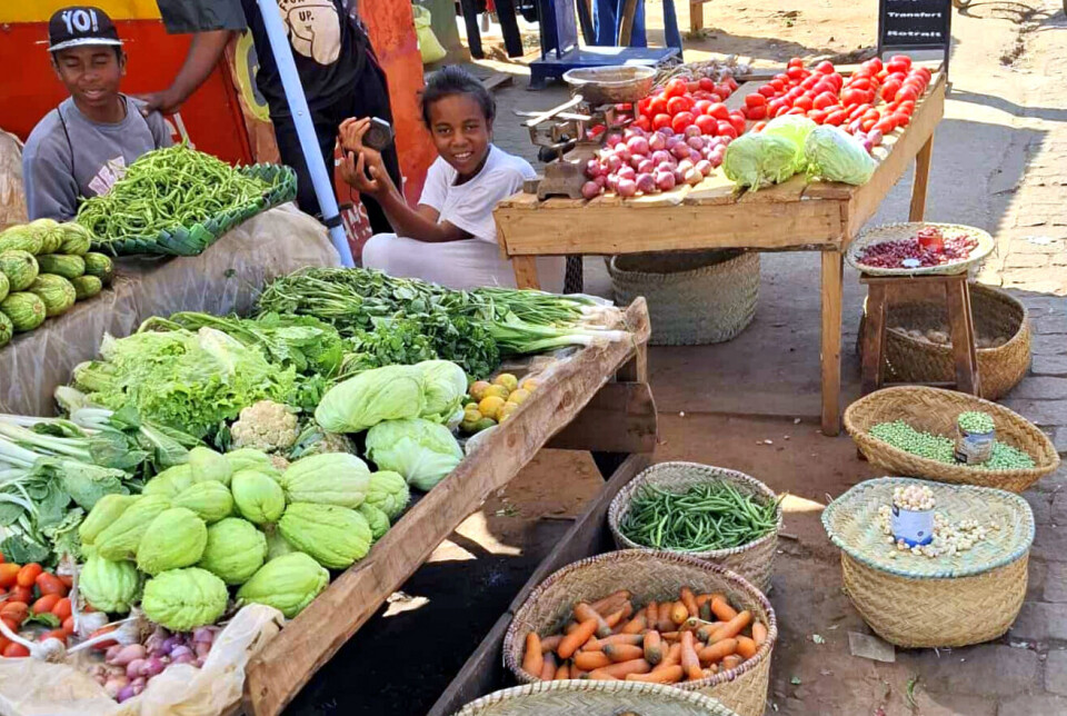 Fruktbutikk med rikt tilbud Fruktbutikk med rikt tilbud på Madagaskar