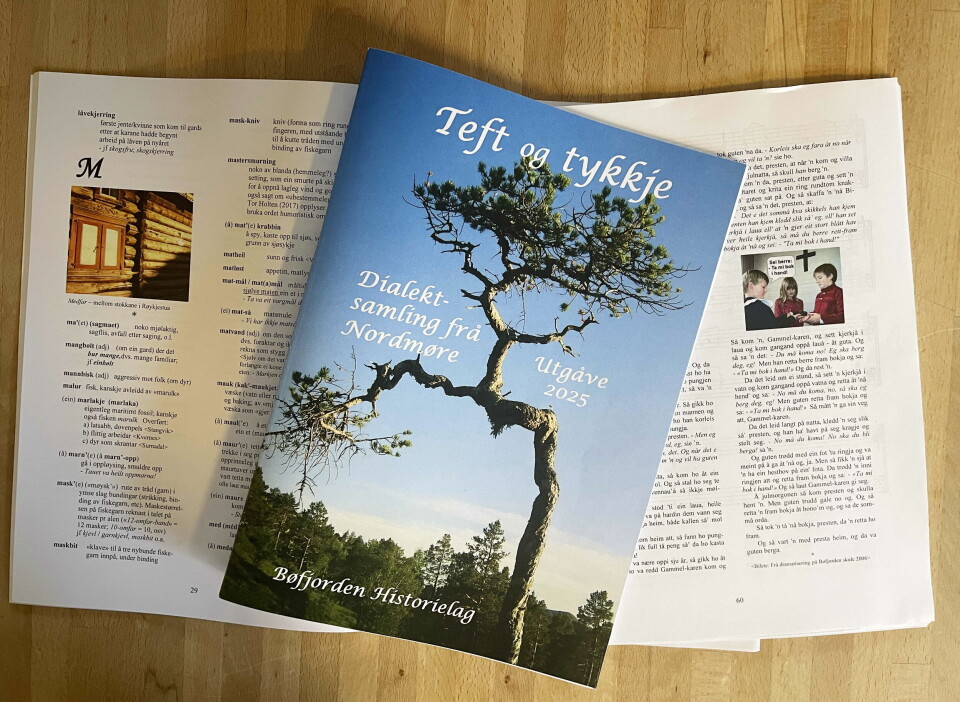 Det nye «Teft og tykkje 2025» er spekka med ord, uttrykk og forteljestoff frå bygdene på Nordmøre. Et hefte.