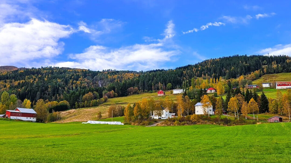 Grenda mi! 😃 Bildet viser en grønn eng, med en skogdekt ås i bakgrunnen. Åsen har flere hus, rundballer og fjøs spredt rundt. Himmelen er blå med kritthvite skyer.