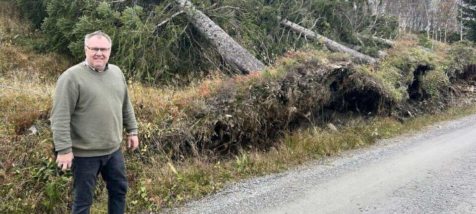 Ordfører Hugo Pedersen oppfordrer til varsomhet i 'Amys' kjølvann