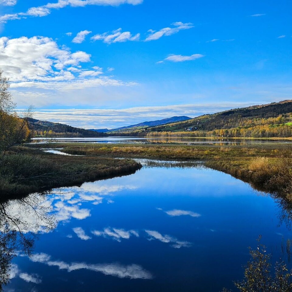 #lomundsjøen Et vann. Høstfarger og solskinn.
