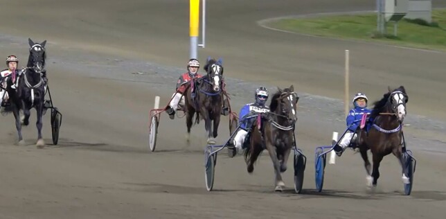 Gode resultater på Varig Orkla Arena