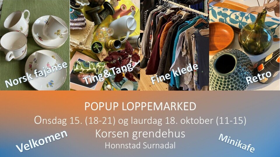 POP UP LOPPEMARKED i Korsen grendehus Flere bilder av 'lopper' på et loppemarked.