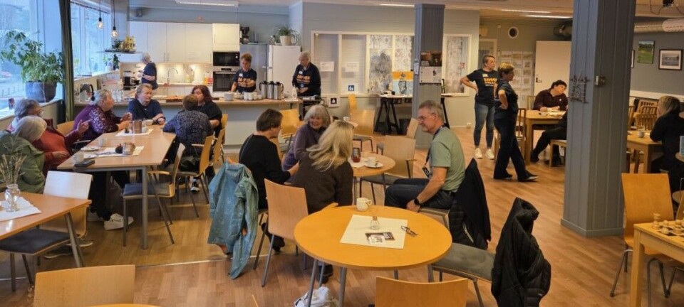 TV-aksjonen: Godt innsamlingsresultat både i Surnadal og i Rindal
