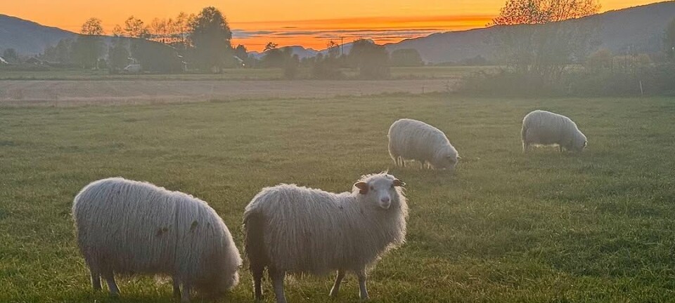 God morgen 24. oktober