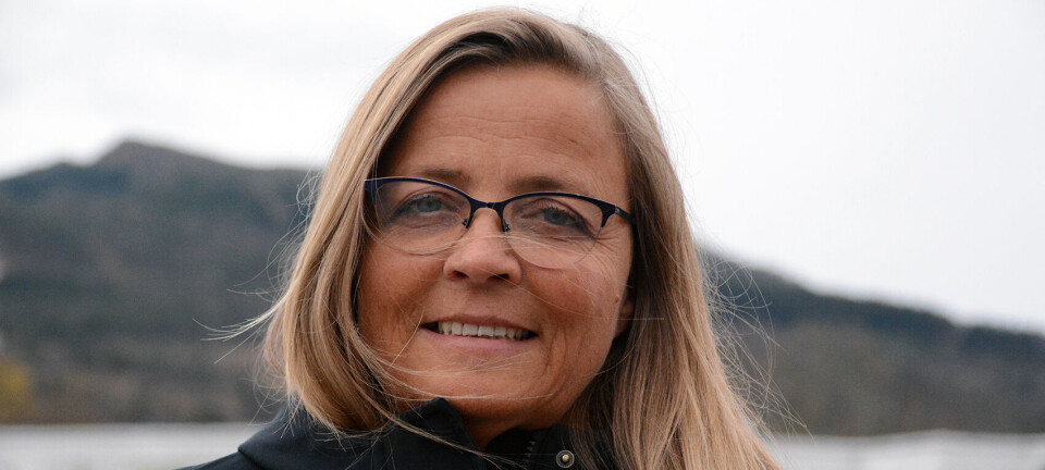Lita interesse …så langt