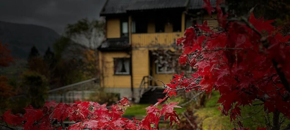 God morgen 30. oktober