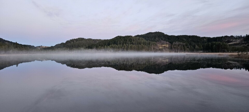 God morgen 1. november