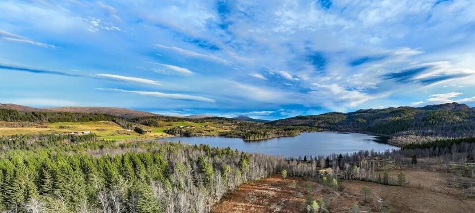 God morgen 2. november