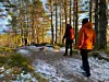 Tre personer og en hund på tur på en sti i skogen, med et lite dryss av snø på veien.