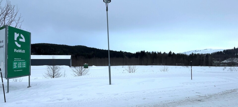 Nye nettsider for «Rindal - tid til å leve»