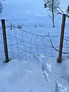 Nettinggjerde med trestolper i snødekt terreng og spor i snøen.