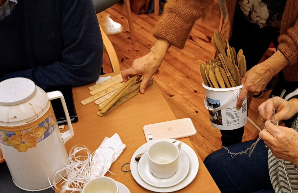 Trollheimsporten - Rindalsnytt - Surnadalsnytt