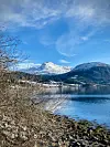 Snødekte fjell og rolig fjord sett fra en steinete strand med bare busker.
