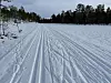 Preparerte langrennsspor i snøen gjennom et skogsområde om vinteren