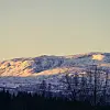 Snødekt fjell i gyllent kveldslys over mørk skog.