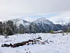 Snødekt landskap med skog, en fallen tømmerstokk og fjell under overskyet himmel.