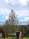 Et tre i forgrunnen med små røde bygninger, fjell med snø og delvis skyet himmel.