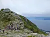Løpere ved målområdet på en steinete fjelltopp med fjord og hav i bakgrunnen.