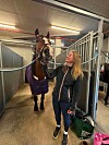 Brun hest i en oppselingsboks med kvinne som holder tøylene ved siden av.