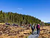 Vandrere går langs en sti i et åpent myrlandskap med skog og blå himmel.
