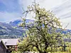 Blomstrende tre foran snødekte fjell og noen bygninger i et landlig landskap.