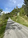 Smal vei gjennom grønt landskap med trær, gress og et hus på en solrik dag.