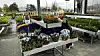 Fargerike blomster og planter på utendørs reoler ved et hagesenter, med en person i bakgrunnen.