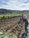 To personer arbeider i en åker med redskaper, med fjell og skog i bakgrunnen.