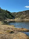 Fjellvann med skogkledde åssider, snøflekker og blå himmel.