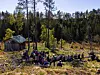 En stor gruppe mennesker sitter og står i et skogholt ved en liten hytte under høye trær.