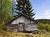 En gammel, forfallent tømmerhytte i skogholt med grantrær og åser i bakgrunnen.