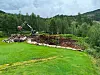 Gravemaskin ved en steinmur på en grønn gresslette omgitt av skog.