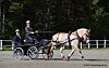 En lys hest trekker en svart vogn med to personer på en grusvei ved skogkanten.