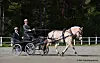 En lys hest trekker en svart vogn med to personer på en grusvei ved skogkanten.
