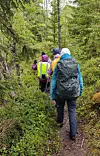 Flere personer vandrer på en smal skogssti omgitt av tett grønn vegetasjon.