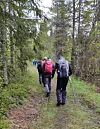 Flere turgåere med ryggsekker går på en smal sti gjennom skogen.