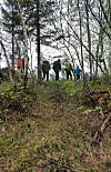 Flere personer går langs en skogssti mellom trær på en grønn, bratt skråning.