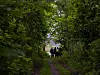 Flere personer går på en smal sti gjennom tett skog og grønt løvverk.