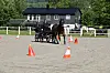Hest med vogn og kusk på ridebane med oransje kjegler foran et hus.