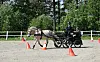 Hest trekker vogn med to personer på en ridebane med kjegler og gjerde i bakgrunnen.
