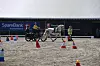 Hest trekker vogn gjennom en kjøreøvelse på sandbane med kjegler og en dommer i refleksvest i bakgrunnen.