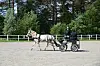 En hest trekker en vogn med kusk på en sandbane ved skogkanten.