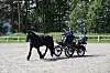 En svart hest trekker en vogn med to personer på en grusbane ved skogkanten.