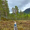Et lite barn går på en klopplagt sti over ei myr med skog og fjell i bakgrunnen.