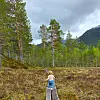 Et lite barn går på en klopplagt sti over ei myr med skog og fjell i bakgrunnen.